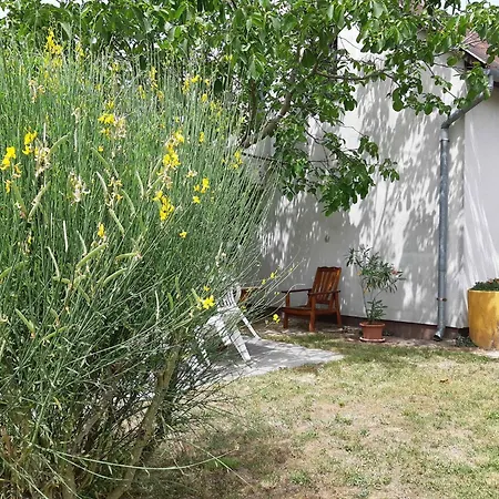 In - Balaton 43113 * Gyenesdiás