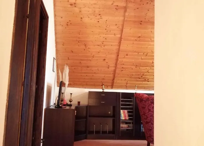 In - Balaton 43113 גיינסדיאס