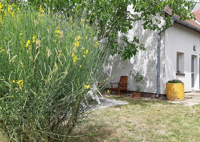 In - Balaton 43113 * גיינסדיאס